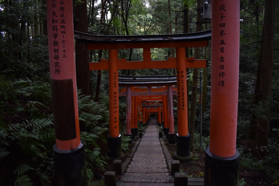 伏見稲荷大社_お山めぐりと千本鳥居