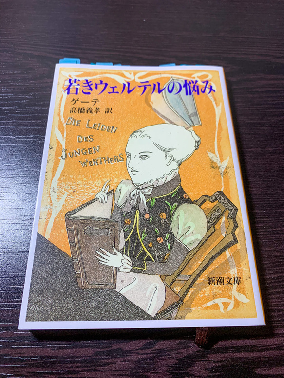 自殺を考える 人を殺めると呼ばれた本 天才ゲーテが描く恋の葛藤 若きウェルテルの悩み をご紹介 旅狼どっとこむ