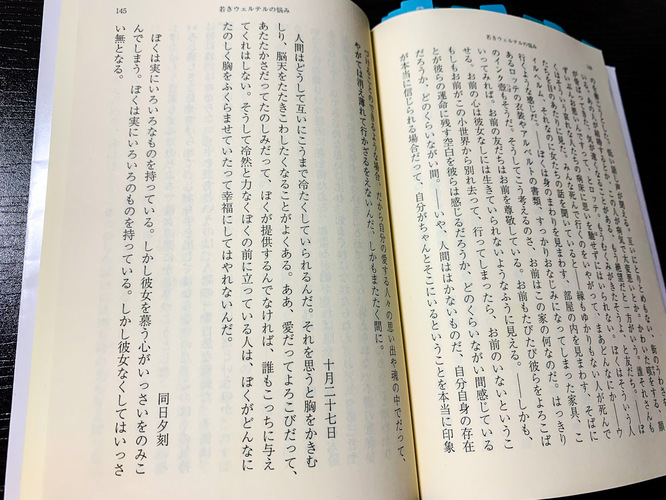 自殺を考える 人を殺めると呼ばれた本 天才ゲーテが描く恋の葛藤 若きウェルテルの悩み をご紹介 旅狼どっとこむ