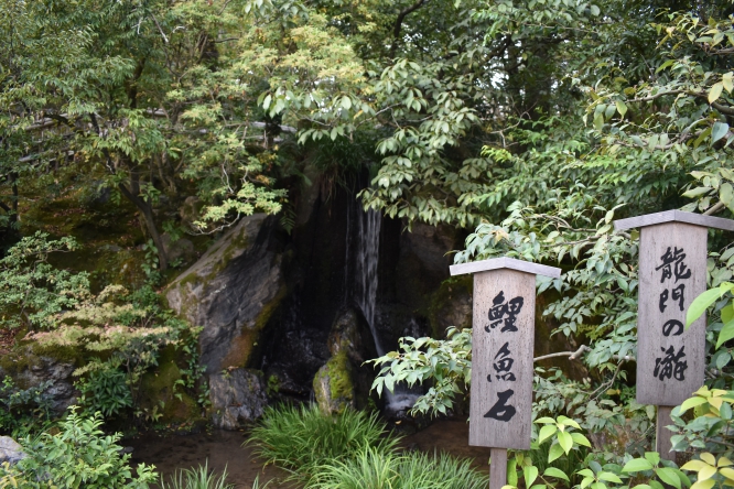 金閣寺_龍門の滝と鯉魚石