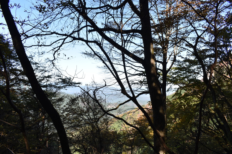 三峯神社_奥宮への参道