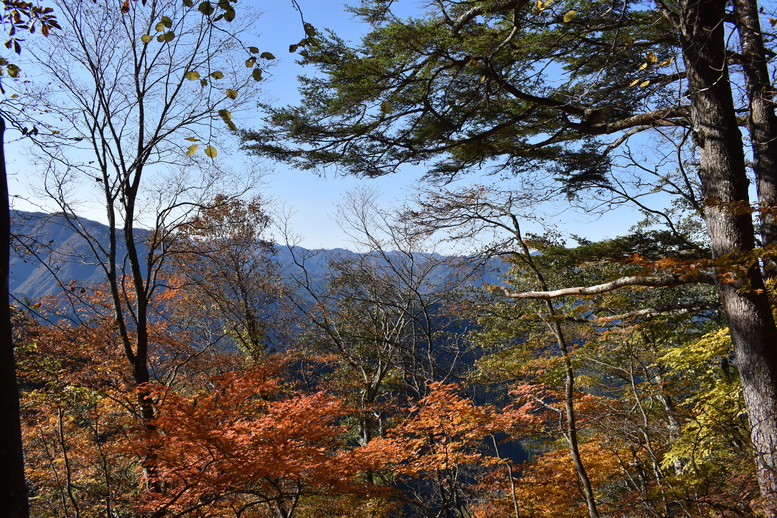 三峯神社_奥宮への参道からの風景