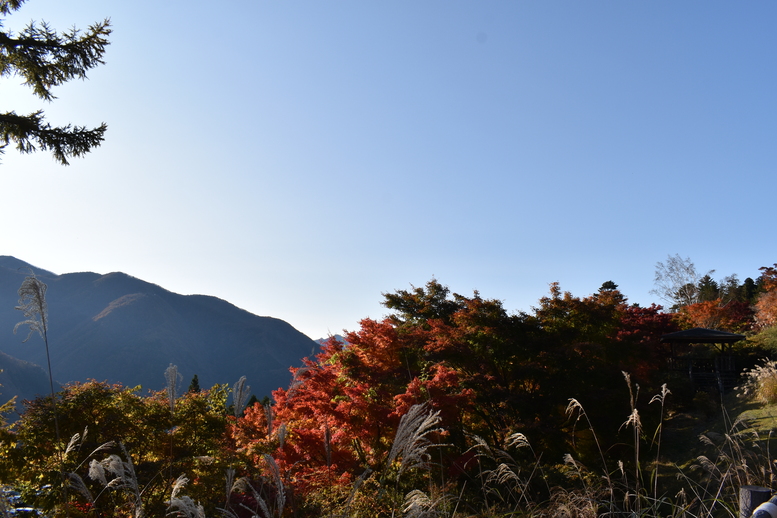 秋の三峯神社_紅葉と秩父の絶景