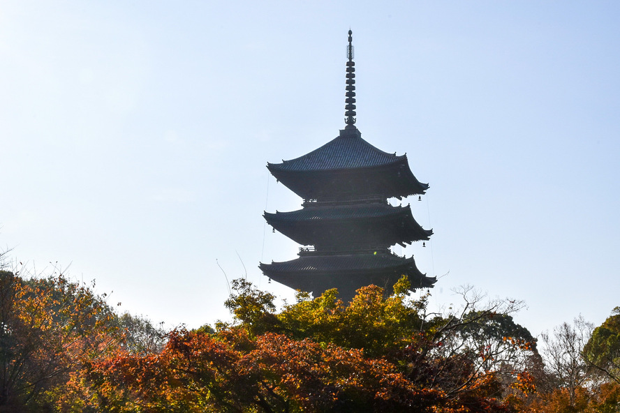 東寺_五重塔と紅葉