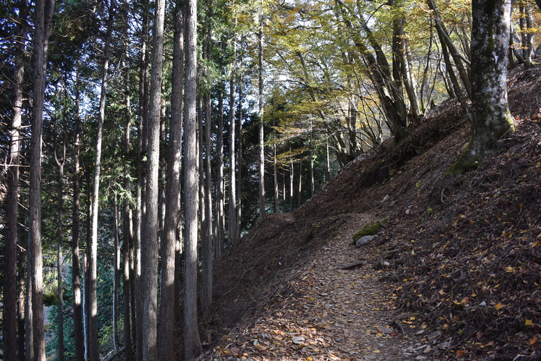 三峯神社_奥宮への参道