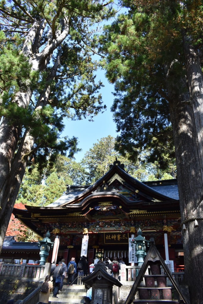 三峯神社_御神木と拝殿