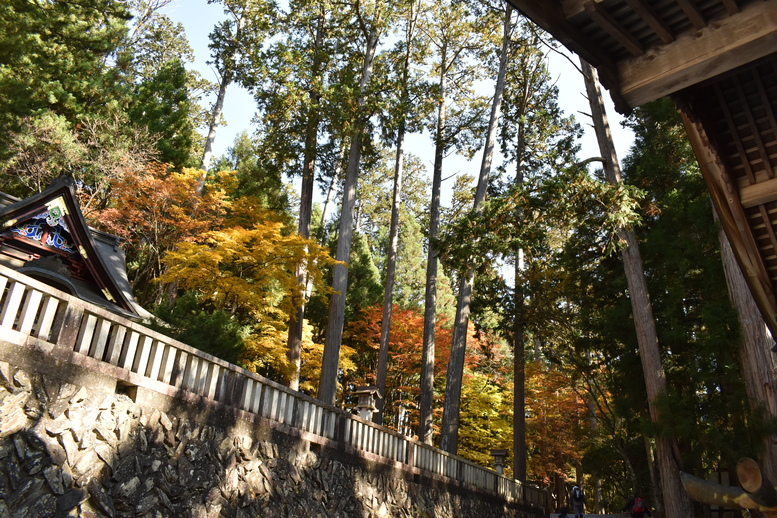 三峯神社_境内の紅葉