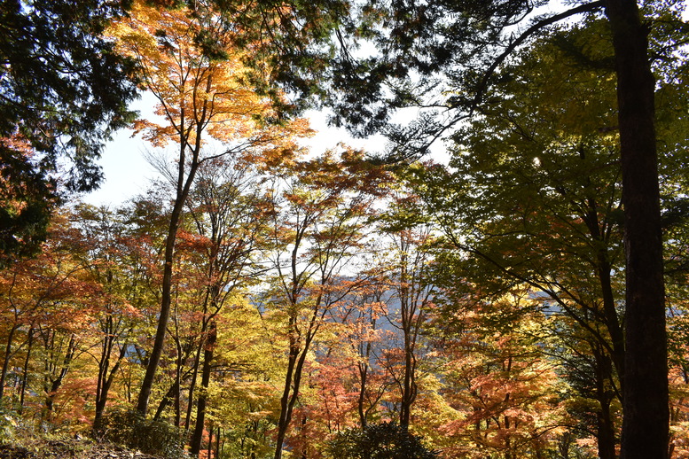 三峯神社_紅葉