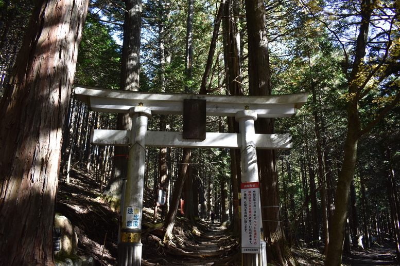 三峯神社_奥宮への参道と鳥居