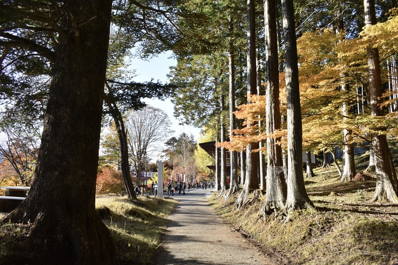 三峯神社_参道と紅葉