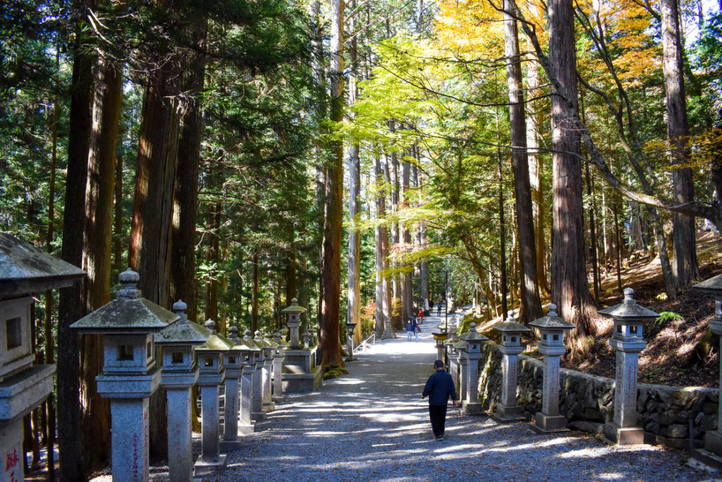 三峯神社_随身門の参道
