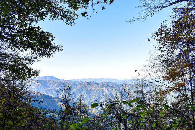 秩父_パワースポット_三峯神社_見どころ_アクセス