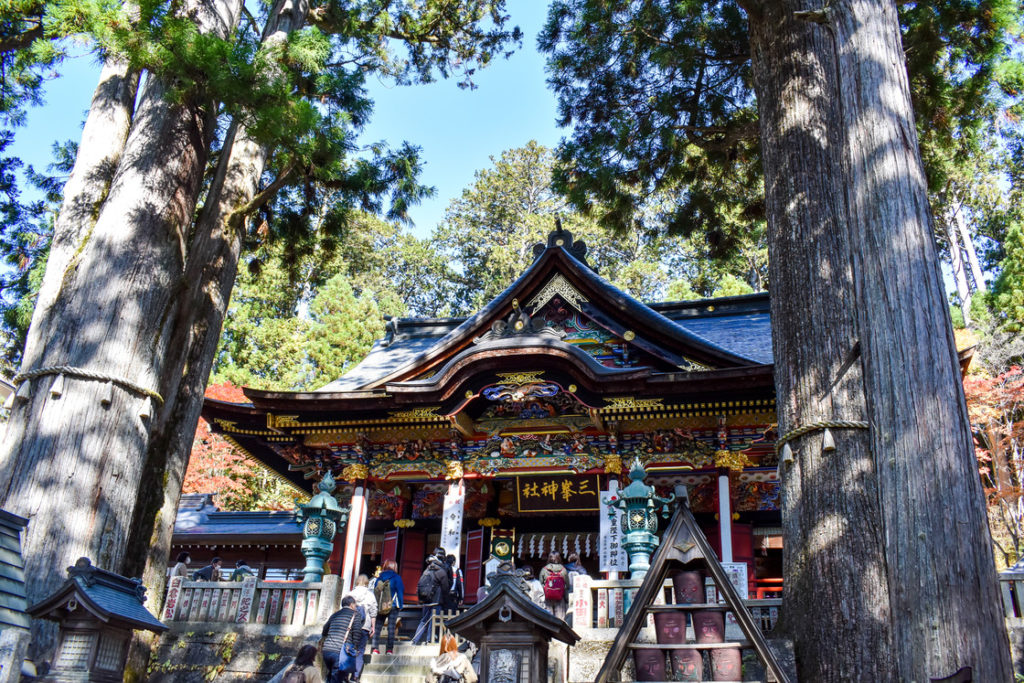 三峯神社_拝殿と御神木