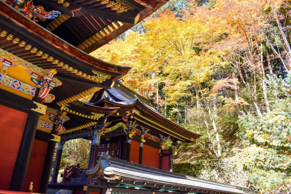 三峯神社_本殿と紅葉