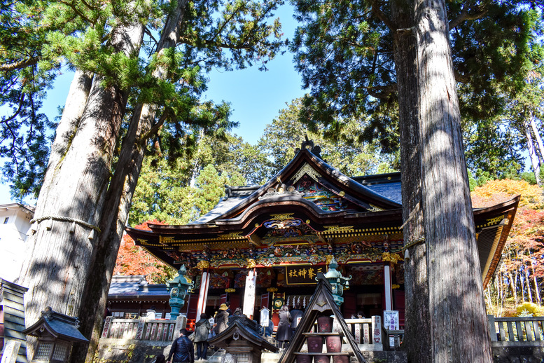 秩父_パワースポット_三峯神社_見どころ_重忠杉