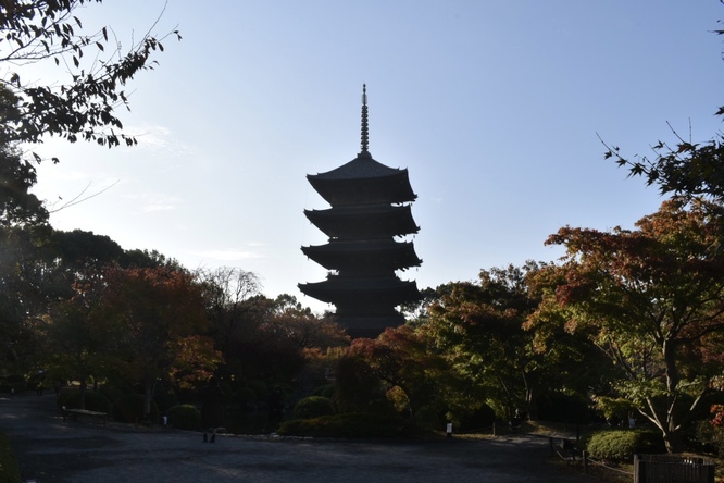 紅葉の東大寺_朝日と五重塔