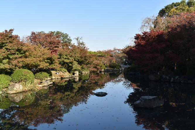 紅葉の東大寺_朝日と庭園