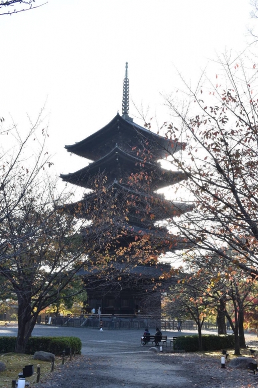 紅葉の東大寺_朝日と五重塔