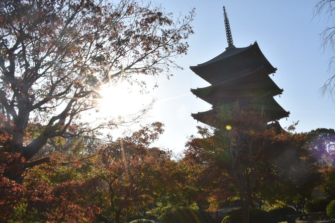 紅葉の東大寺_朝日と五重塔