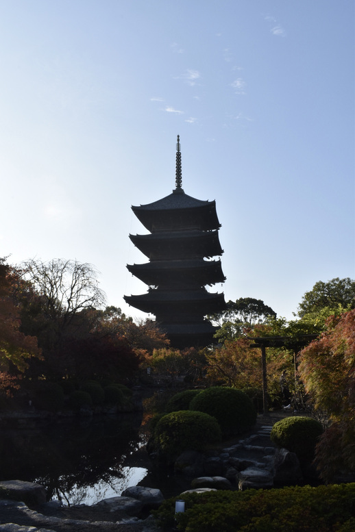 紅葉の東大寺_朝日と五重塔