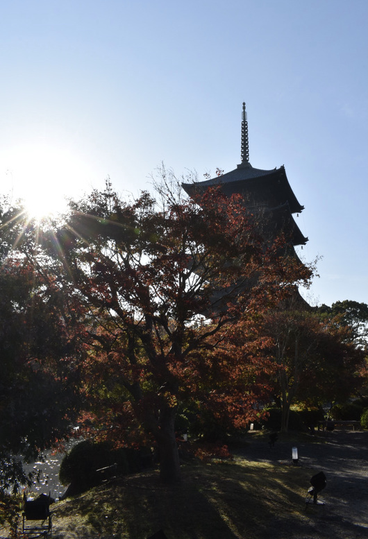 紅葉の東大寺_朝日と五重塔
