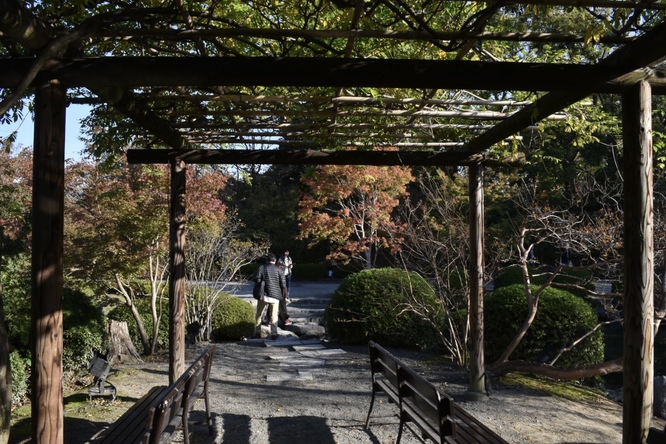 紅葉の東大寺_朝日と庭園