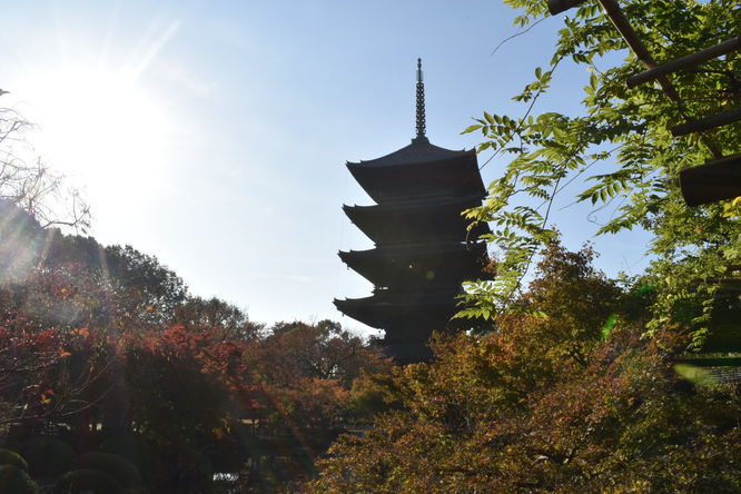 紅葉の東大寺_朝日と五重塔