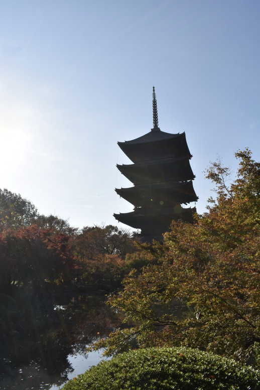 紅葉の東大寺_朝日と五重塔