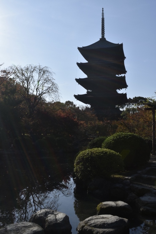 紅葉の東大寺_朝日と五重塔