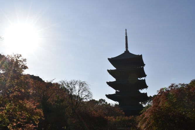 紅葉の東大寺_朝日と五重塔