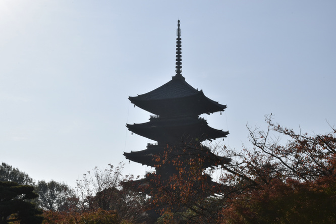 紅葉の東大寺_朝日と五重塔