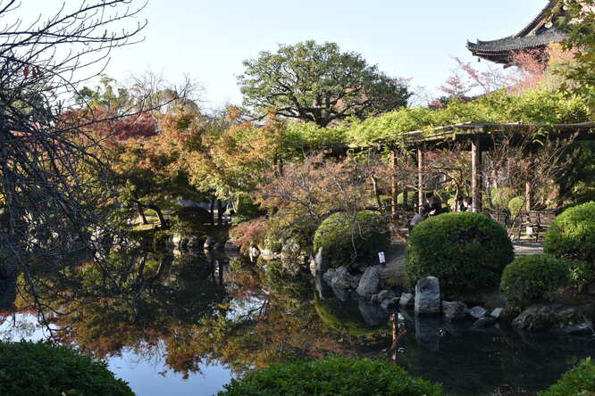 紅葉の東大寺_朝日と庭園
