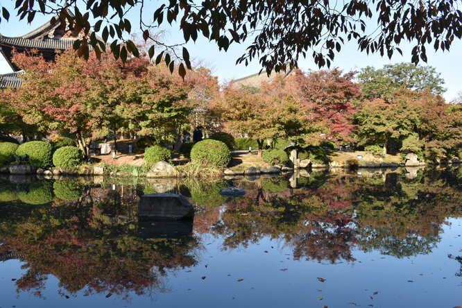 紅葉の東大寺_朝日と庭園