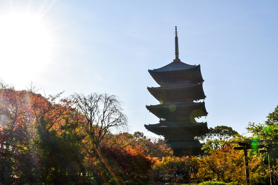 東寺_五重塔と朝日と紅葉