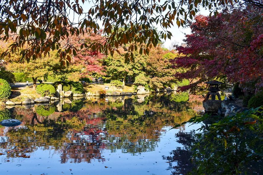 東寺_庭園と紅葉