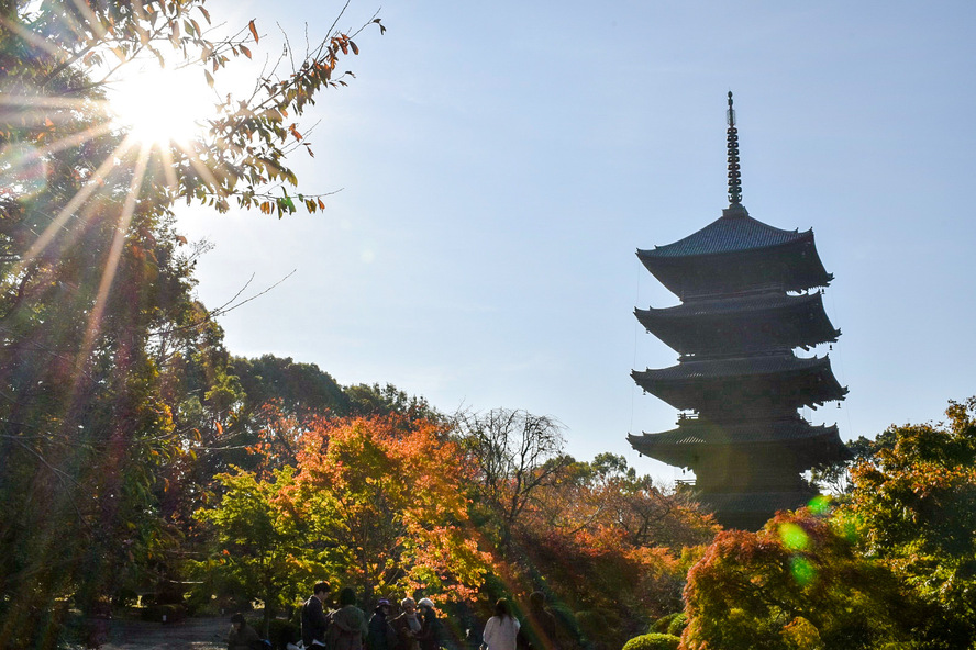 東寺_五重塔と朝日と紅葉