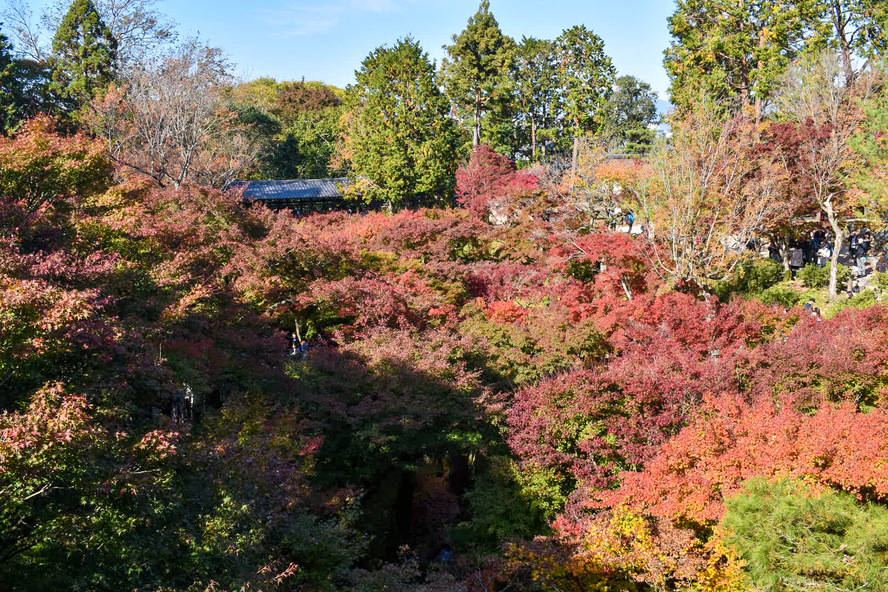 東福寺_通天橋から眺める臥雲橋と紅葉