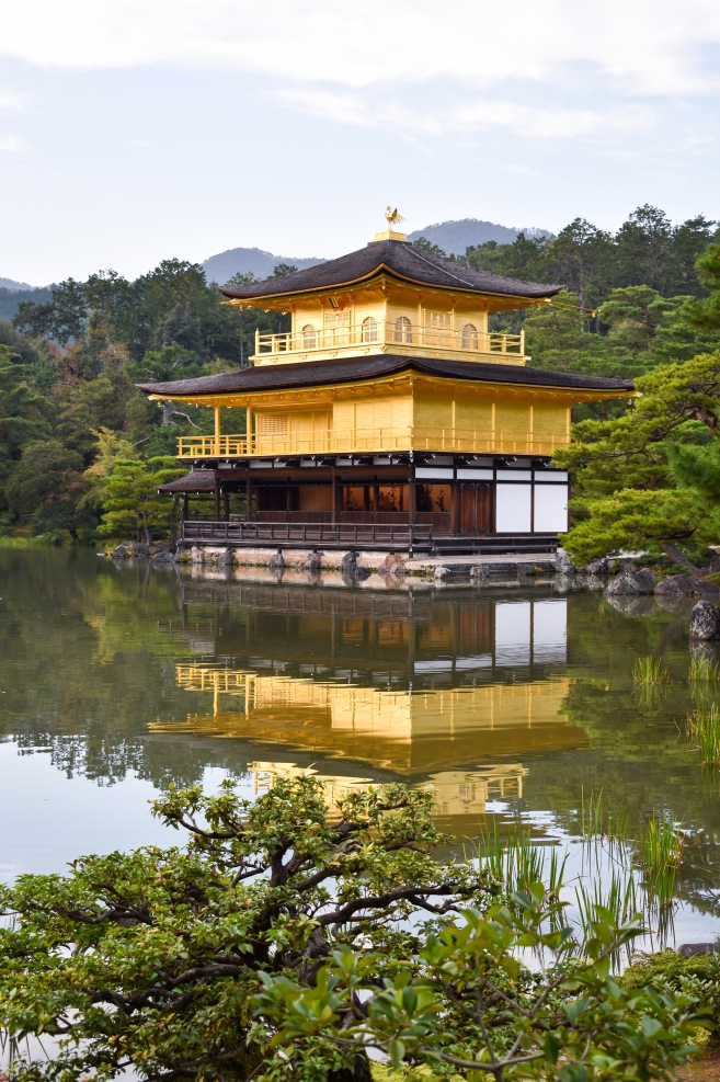 金閣寺の風景