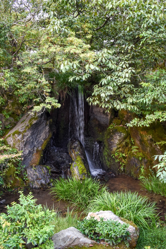 金閣寺の龍門の滝と鯉魚石