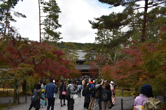 南禅寺_秋の境内と法堂