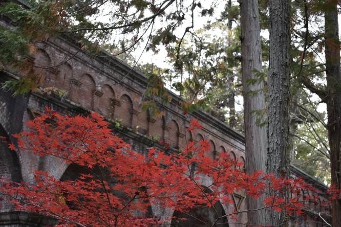 秋の南禅寺_水路閣と紅葉