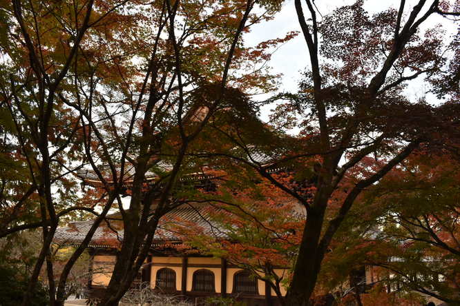 秋の南禅寺_方丈と紅葉