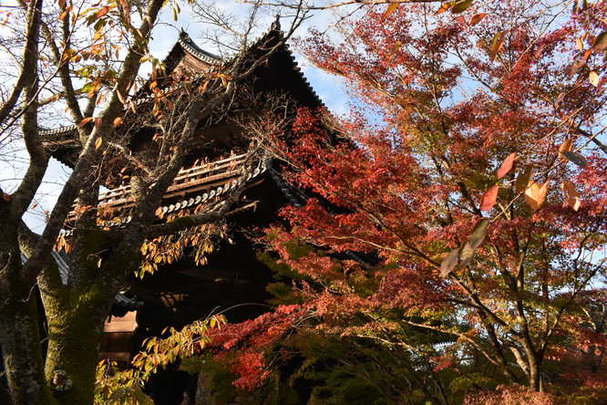 秋の南禅寺_三門と紅葉