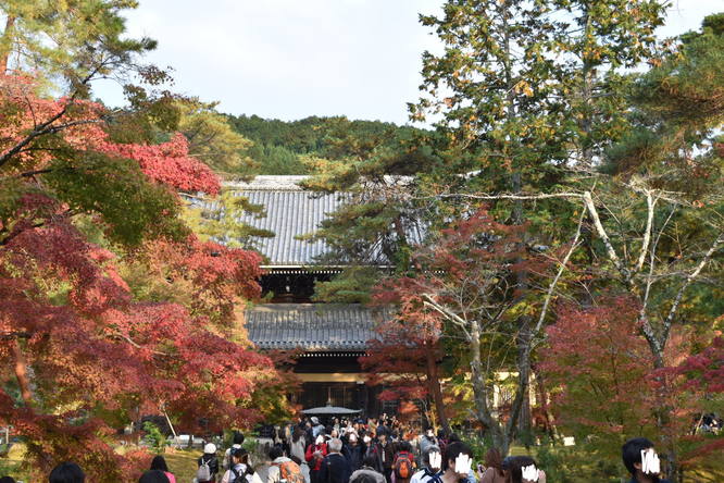 秋の南禅寺_方丈と紅葉