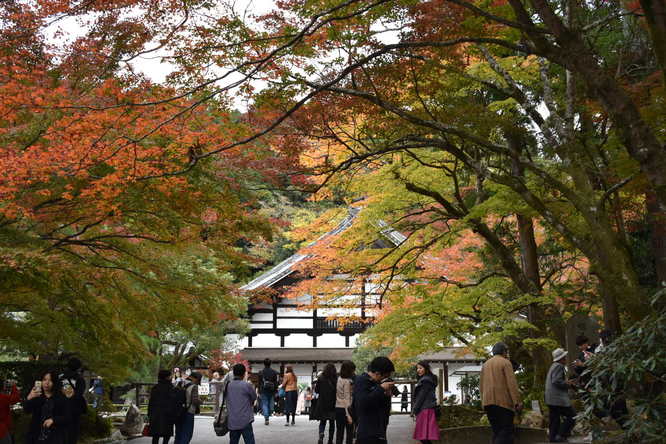 南禅寺_秋の方丈と紅葉