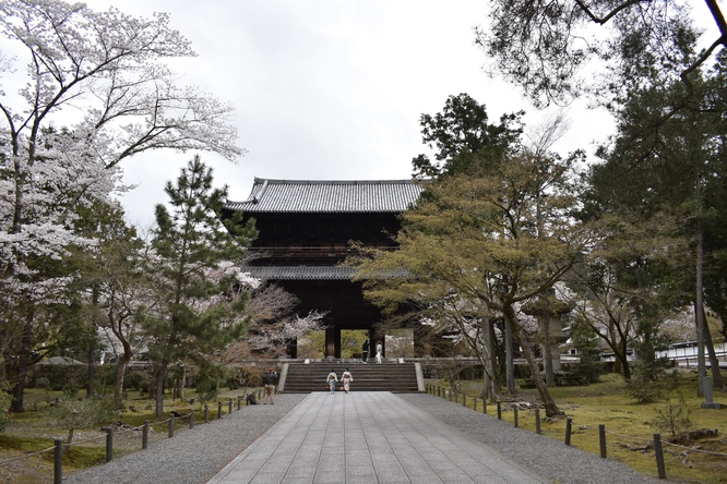 春の南禅寺_三門と桜