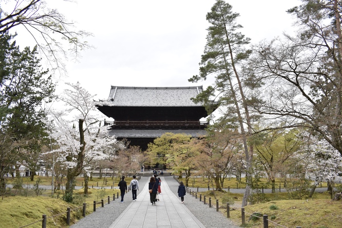 春の南禅寺_三門と桜