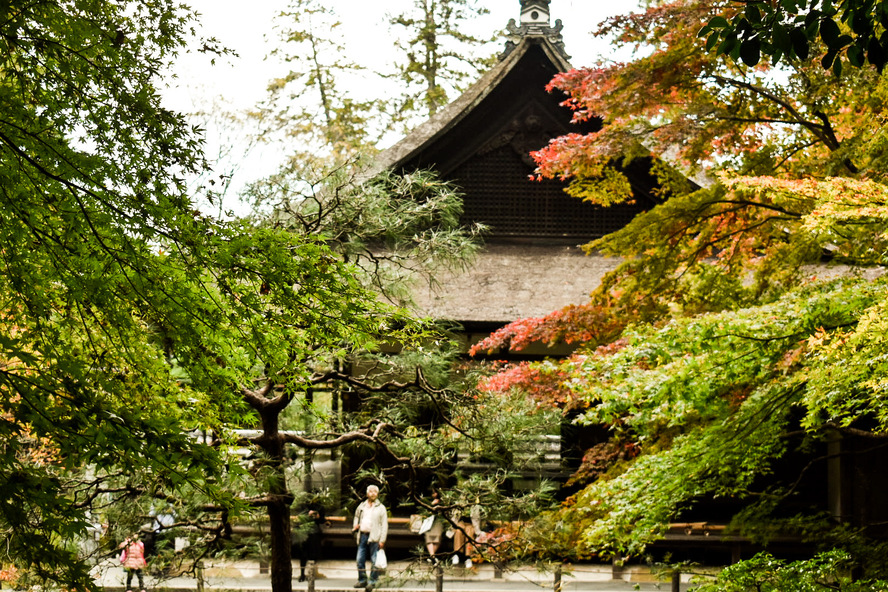 南禅院_書院と紅葉