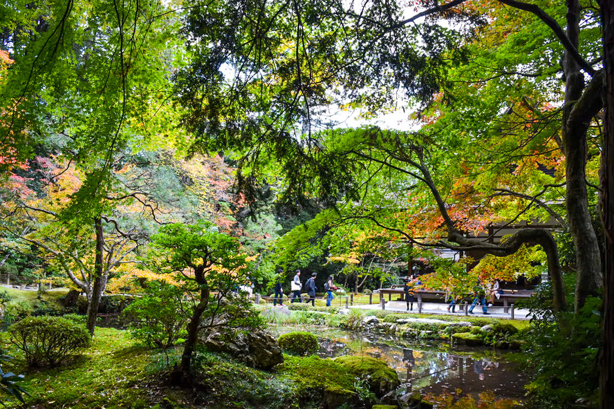 南禅院の紅葉