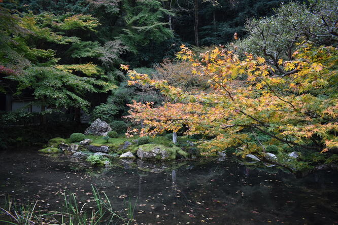 南禅院_幽玄な庭園と紅葉